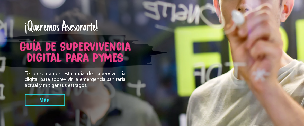 MÁS DE 10 AÑOS DESARROLLANDO PYMES